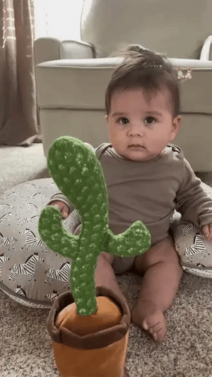 Dancing Cactus Toy